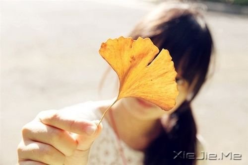 簲ֻȫԸ (8)