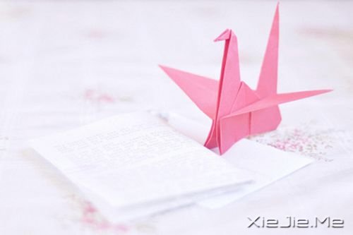 晚安心语：那些单独飞翔的人拥有最强大的翅膀 (1)