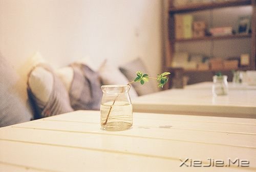 晚安心语：每个人的心里都潜藏着一条悲伤的河流 (9)