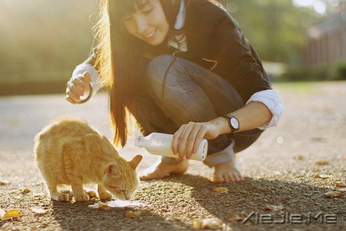为什么你那么文艺，却还是没有爱人