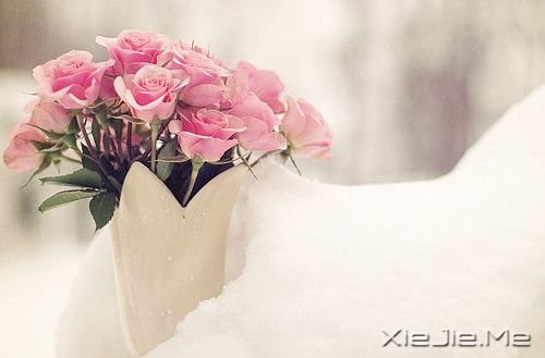 追梦就像是一场马拉松，能坚持到终点的人寥寥无几