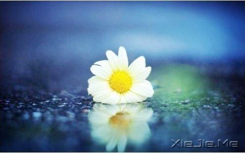 安静，一种淡淡的祥和 (2)