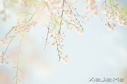 安静，一种淡淡的祥和 (9)