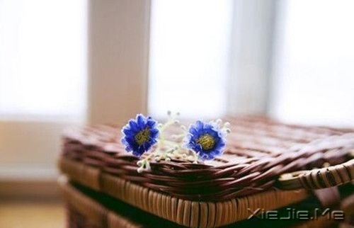安静，一种淡淡的祥和 (10)