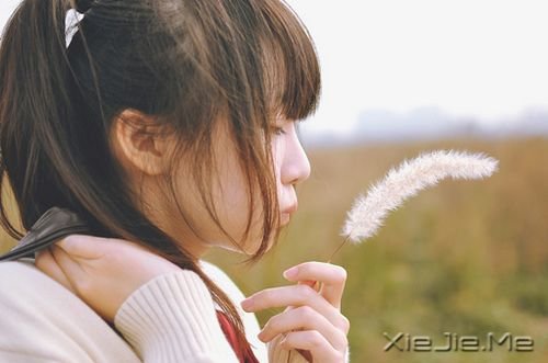 我始终没变，变的只是心情 (1)